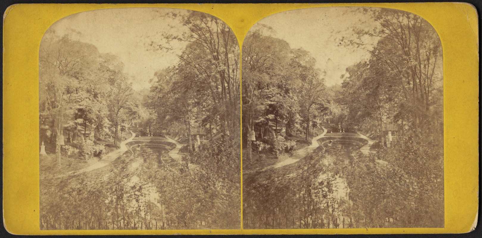 Forest pond, Mount Auburn cemetery