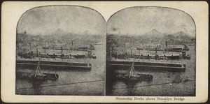 Steamship docks above Brooklyn Bridge