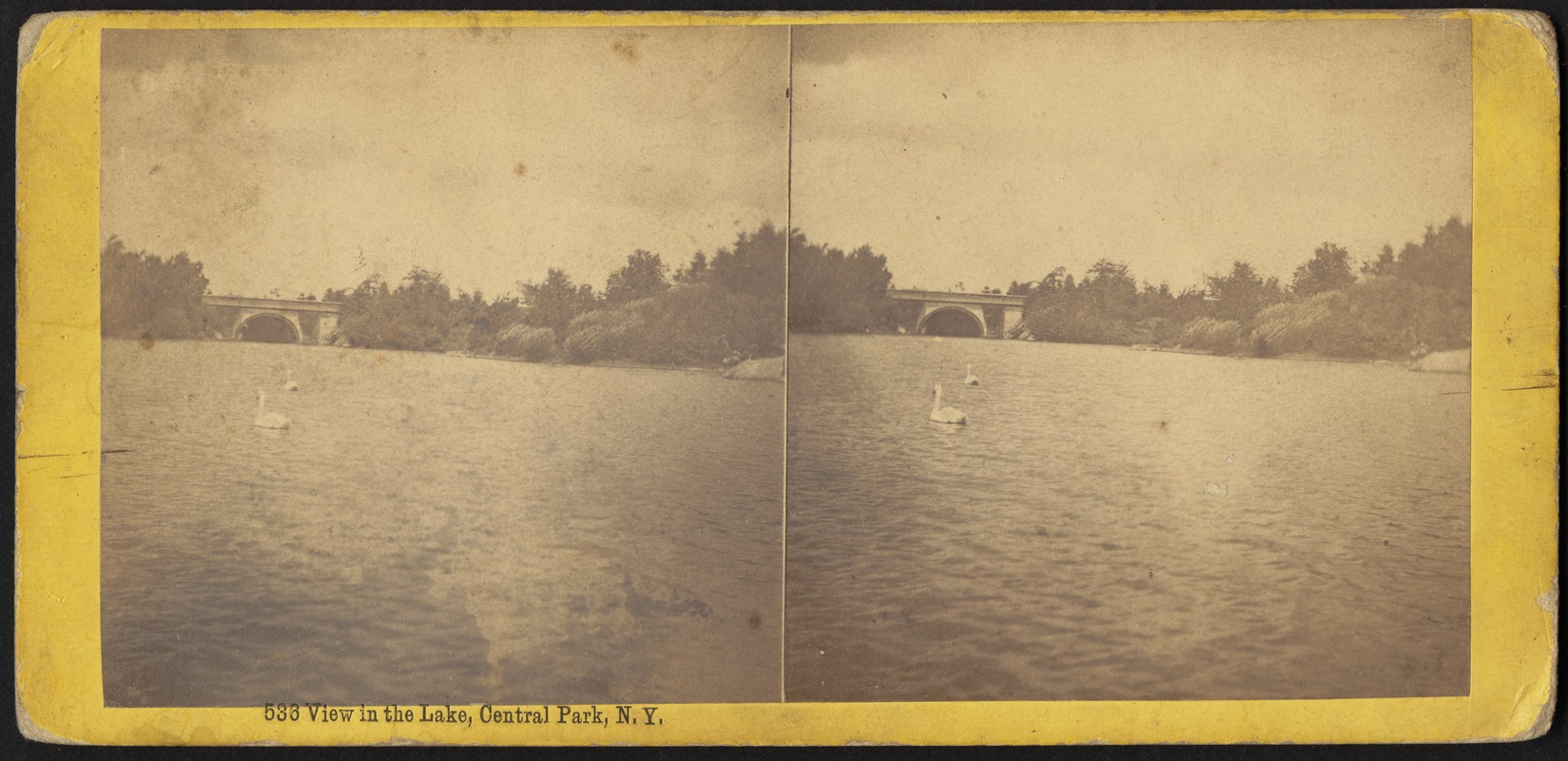 View in the lake, Central Park, N.Y.