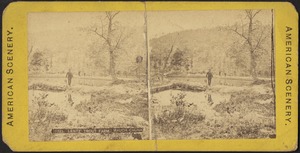 Trout farm near Mauch Chunk, Pa