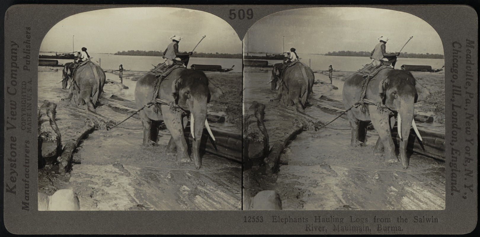 Hauling logs with elephants, Maulmain, Burma