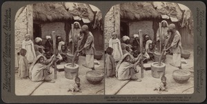 Shelling rice and gossipping with neighbors, Cashmere, India