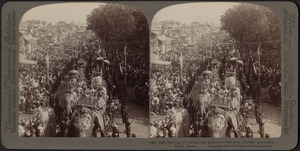 Marvels of richness in the Durbar procession, Delhi