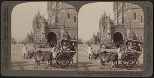Varied methods of travel - an Ekka in Bombay, India