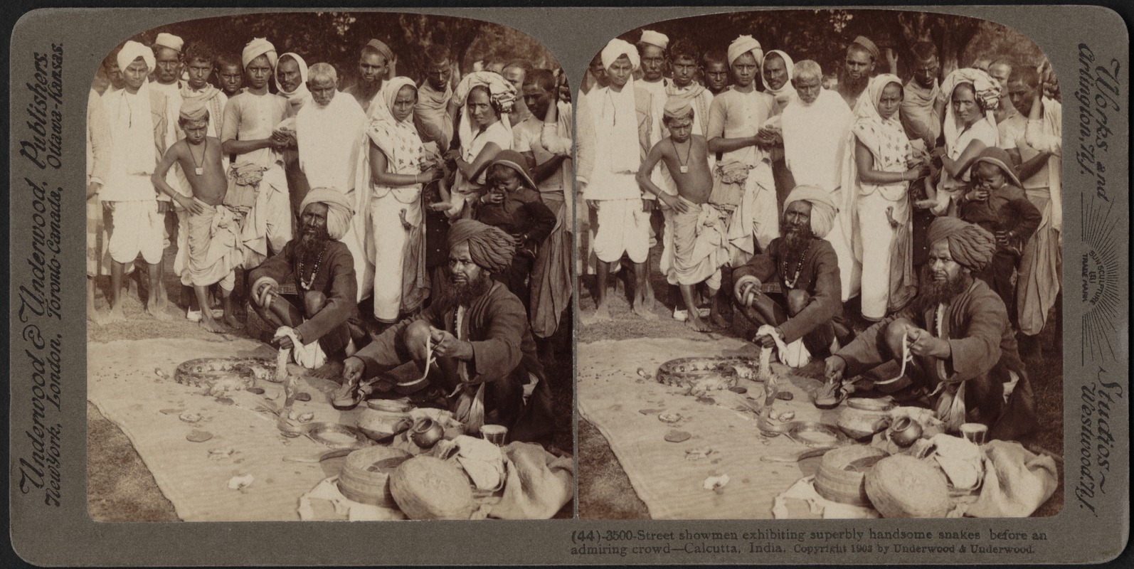 Street showmen exhibiting snakes. Calcutta, India