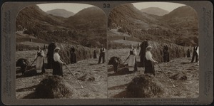 A farmer's family, making hay at Roldal, Norway