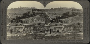 Garden of Gethsemane and Mount of Olives from eastern wall, Jerusalem