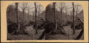 Smuggler's Pass, Notch, Stowe, Vt.