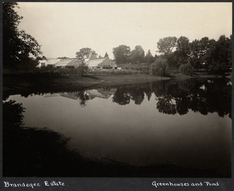 Brandegee, Sprague; Faulkner Farm. Greenhouses and Pond