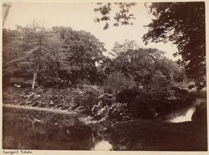 Sargent estate, Chas. S. Sargent place pond