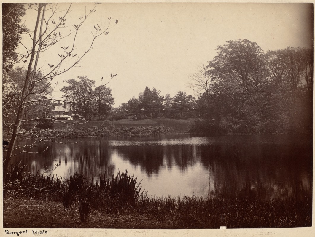 Sargent estate, Chas. S. Sargent place pond