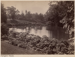 Sargent estate, pond