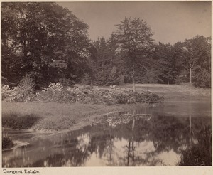 Sargent estate, pond