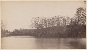 Sargent estate, Sargent's pond