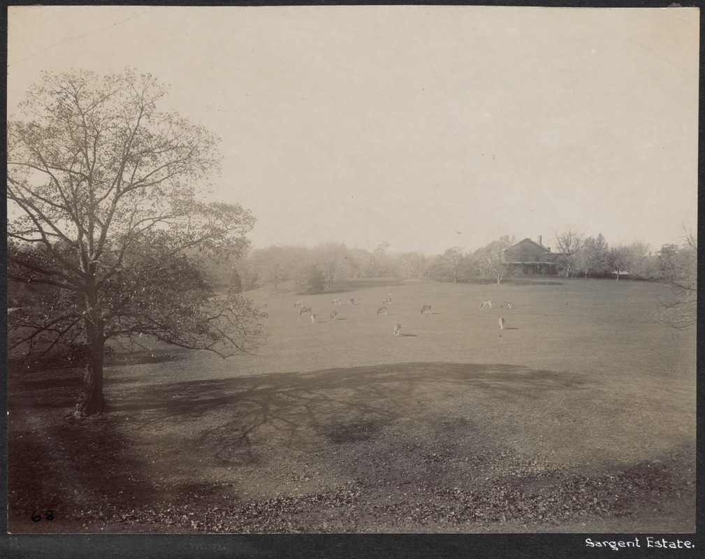 Sargent estate