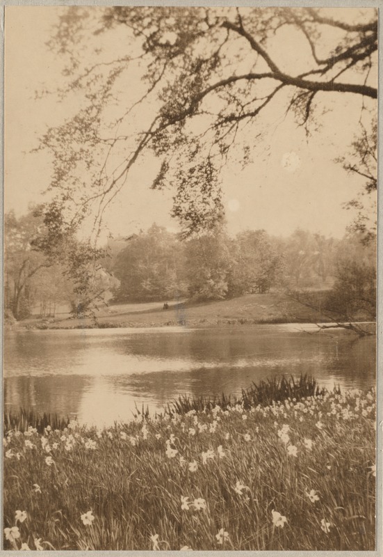 Sargent estate Digital Commonwealth