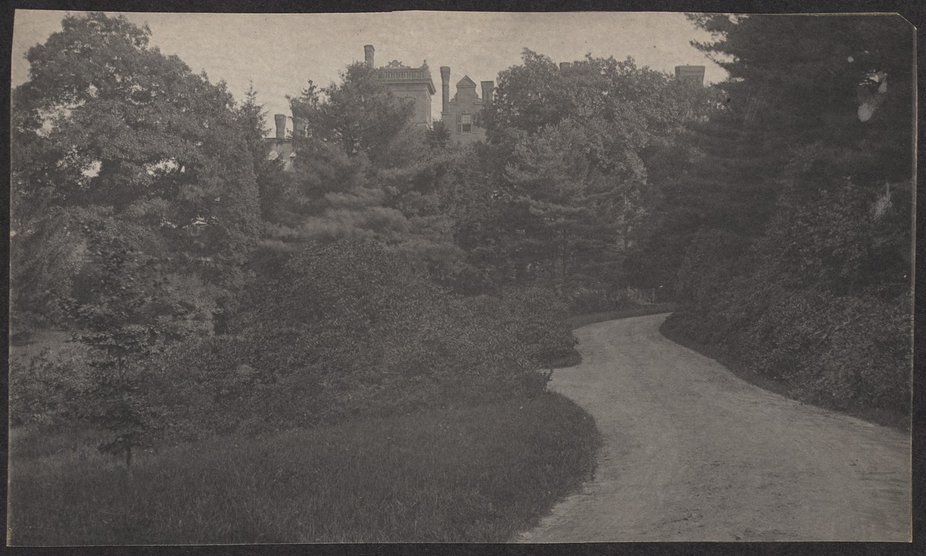 Schlesinger estate Digital Commonwealth