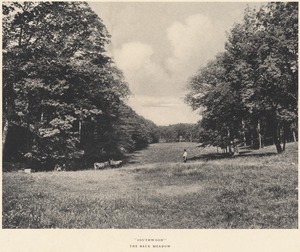 Schlesinger estate - "Southwood", back meadow