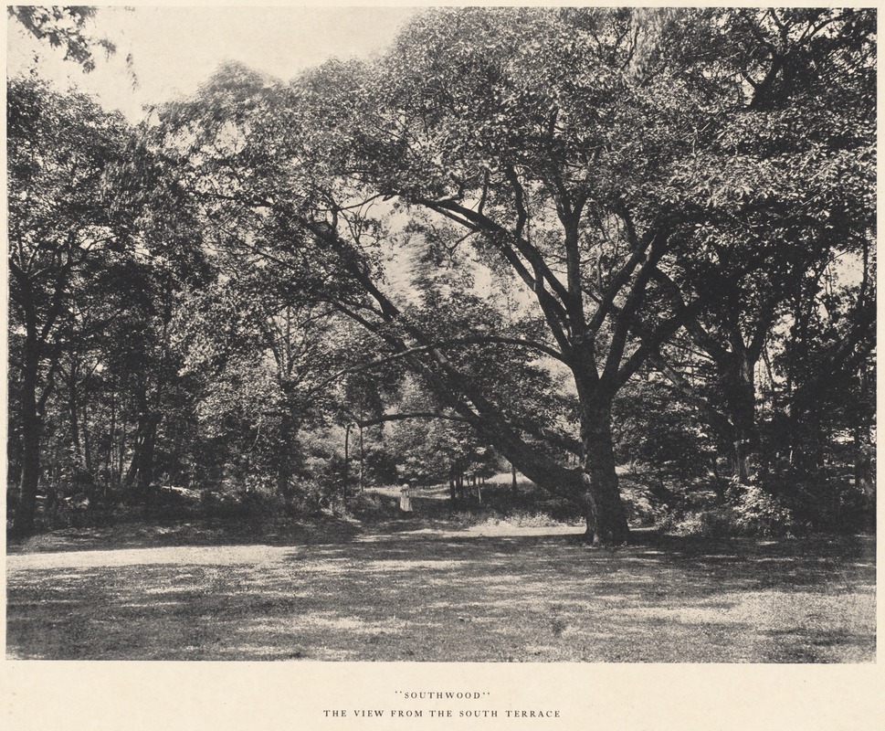 Schlesinger estate - "Southwood", view from south terrace