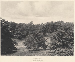 Schlesinger estate - "Southwood", the front meadow