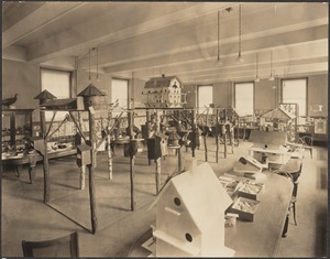 Library activities, 1910 building, Bird Club exhibit