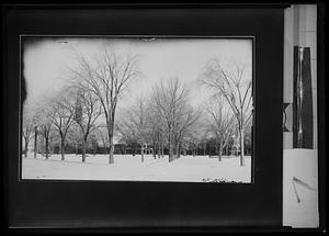 Natick Common, view of south side