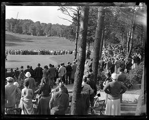 A crowd watching golf
