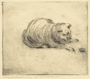 Mrs. Ward's cat