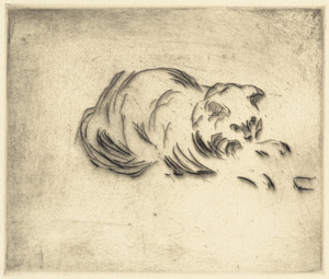 Mrs. Ward's cat