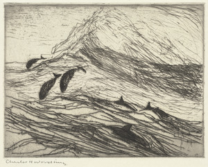 Porpoises with breaking wave
