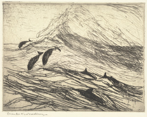 Porpoises with breaking wave