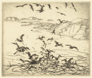 Gulls near sunken ledges