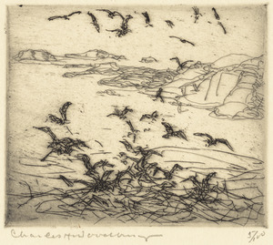 Gulls near sunken ledges