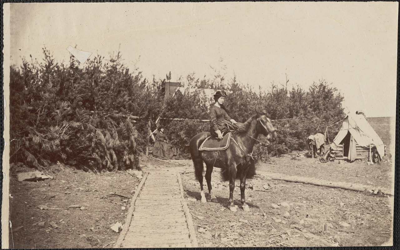 Lady on horseback