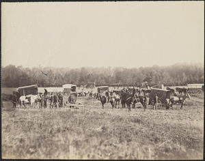 Ambulance Corps removing dead from battlefield