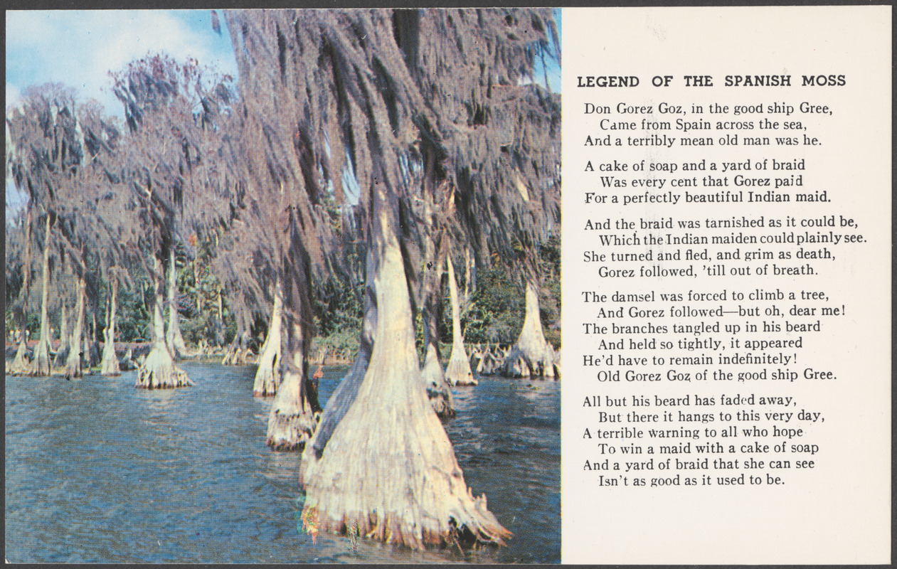 Legend of the Spanish moss Digital Commonwealth