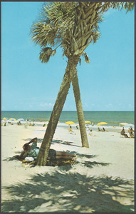 Pick your pleasure - bright sun or tropical shade on the beautiful sands of Myrtle Beach, S. C.