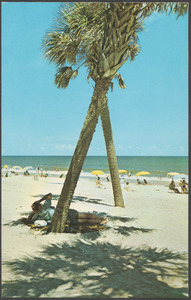 Pick your pleasure - bright sun or tropical shade on the beautiful sands of Myrtle Beach, S. C.