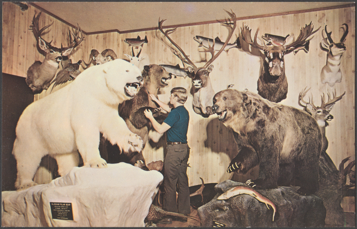 Complete planning and booking of hunts anywhere in the world for any game