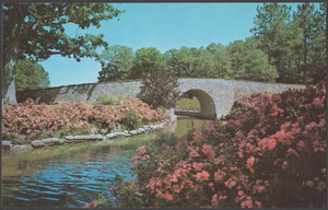 The botanical gardens, Norfolk, Virginia
