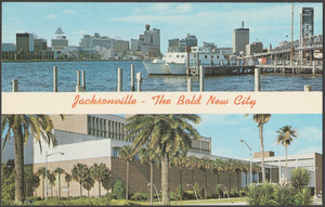 Jacksonville - the bold new city