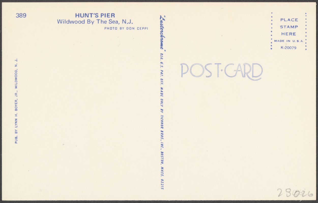 The Wildwoods by the Sea