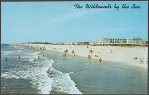 The Wildwoods by the Sea
