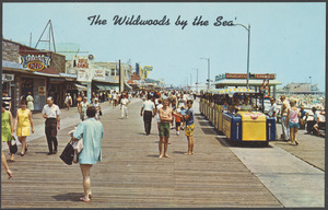 The Wildwoods by the Sea
