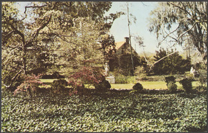 Garden scene at Brookgreen Gardens, Murrells Inlet, S.C.