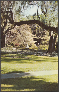 Garden scene at Brookgreen Gardens, Murrells Inlet, S.C.
