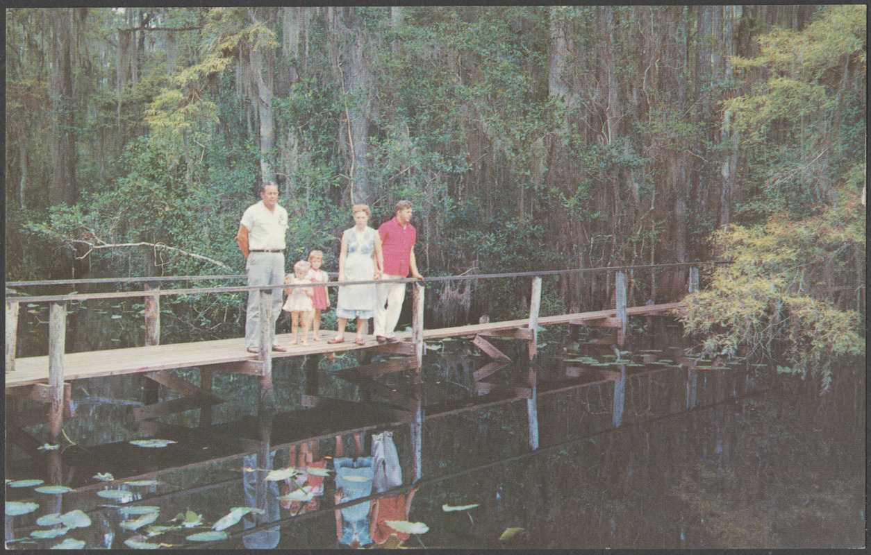 Florida State Park