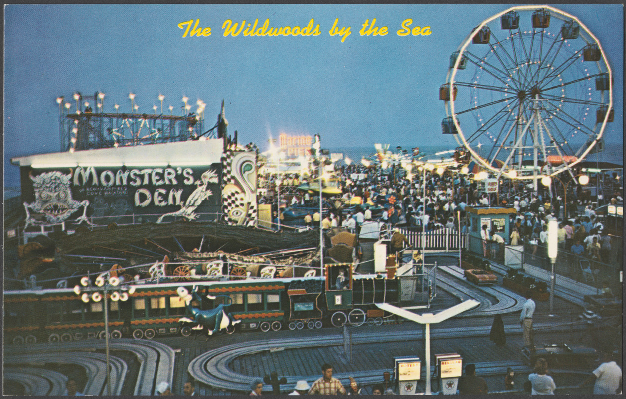 The Wildwoods by the Sea