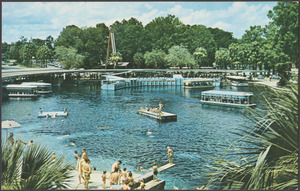 This is the main spring at Florida's world-famous Silver Springs, showing the administration buildings, boat docks and the aquarium