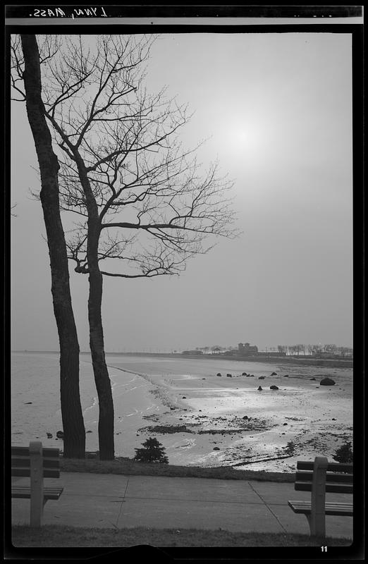 Lynn, beach scene